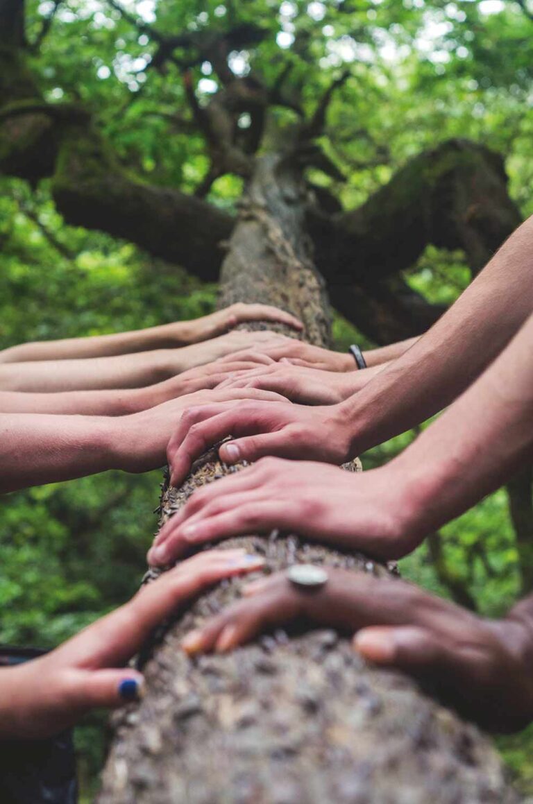 groupe de personnes avec main sur un arbre